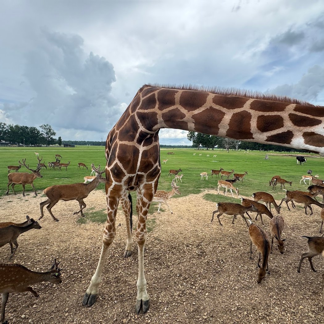 Global Wildlife Center 2