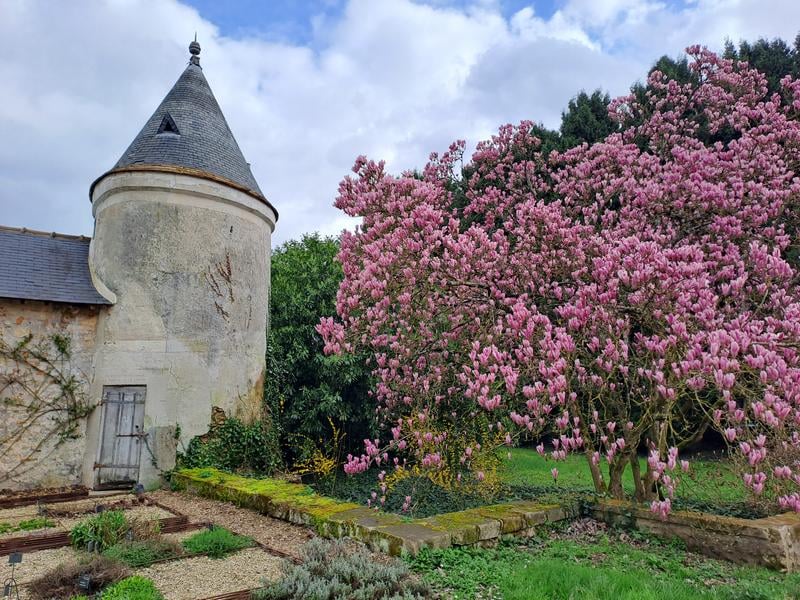 Parc botanique de Launay 1