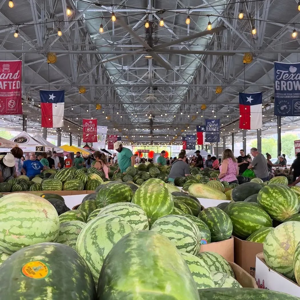 Dallas’ Original Watermelon Day 4