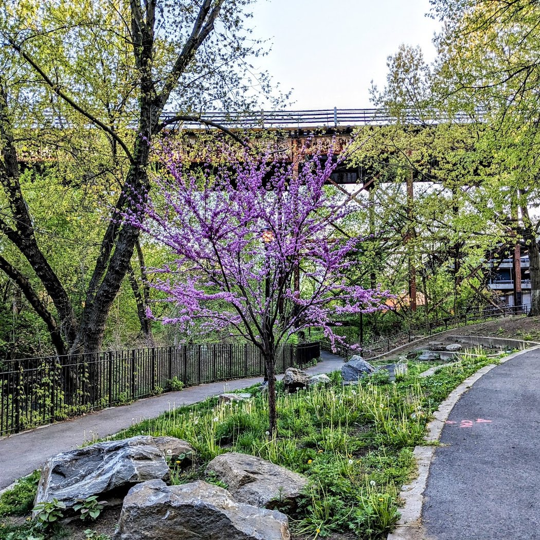 West Farms Rapids Park 1