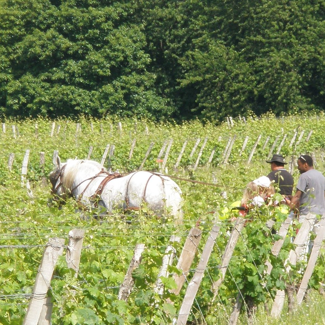 DOMAINE DES OUCHES 2