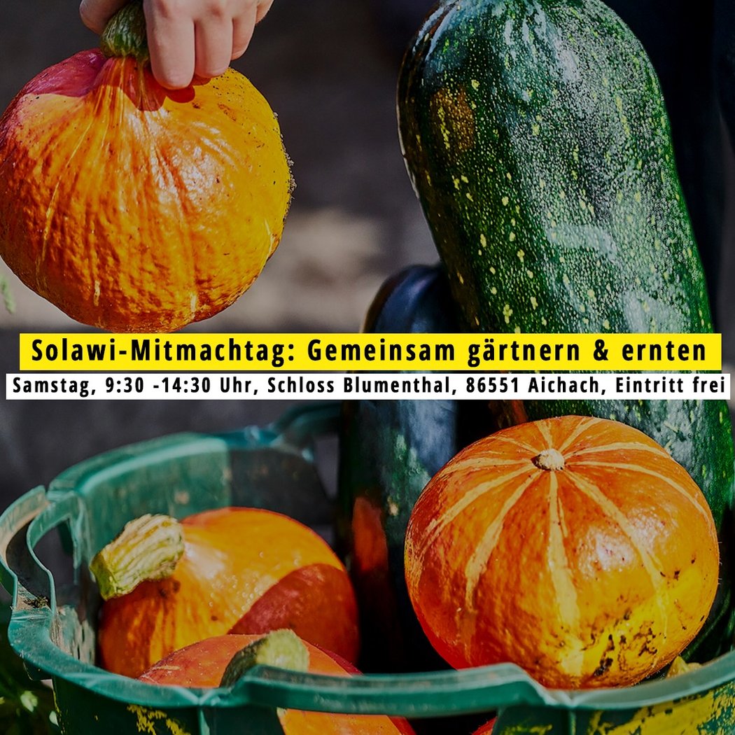 Solawi-Mitmachtag: Gemeinsam gärtnern & ernten 1