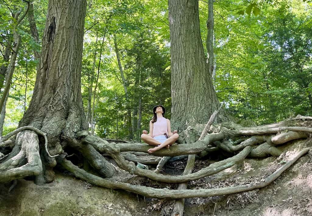 Cook County July Nature Wellness Walk 3