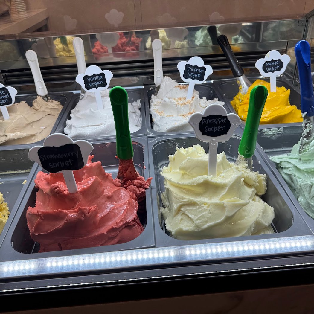 Noi Due Gelato 3