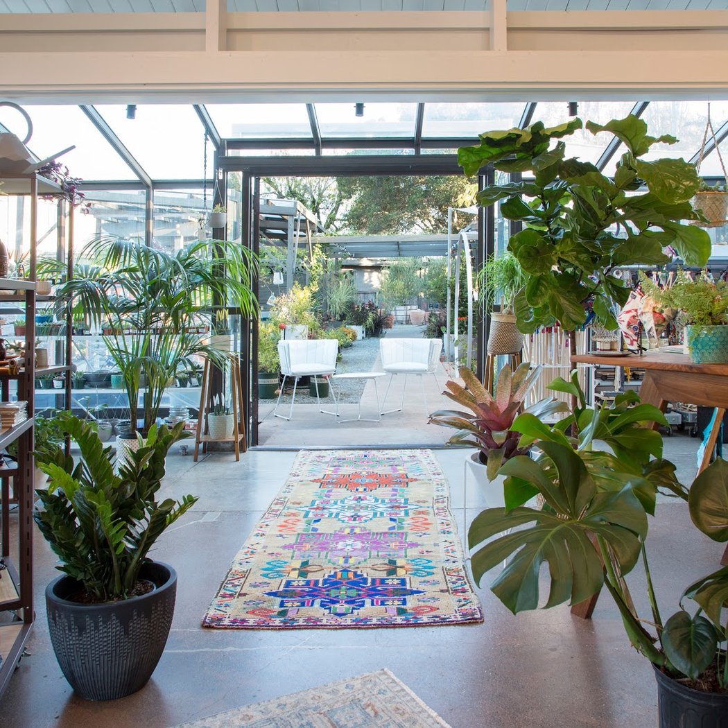 Tarot at That Garden Store 1
