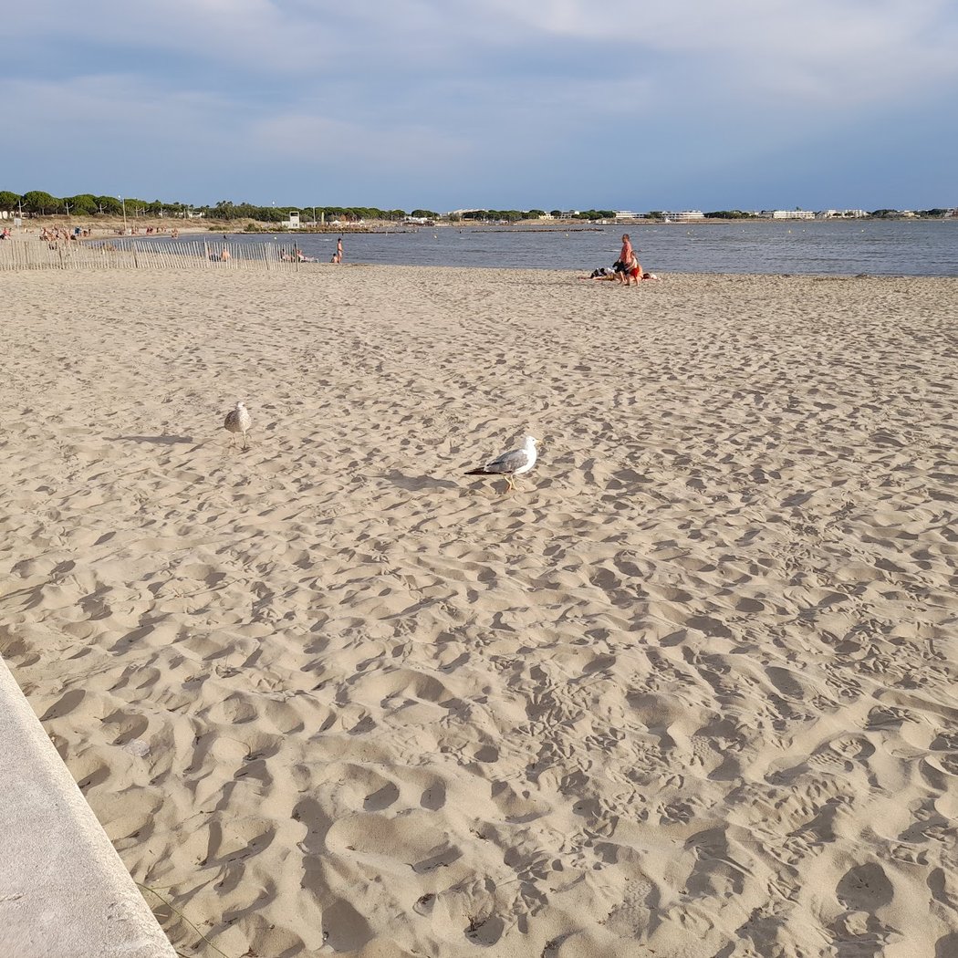 Plage Rive Gauche 3