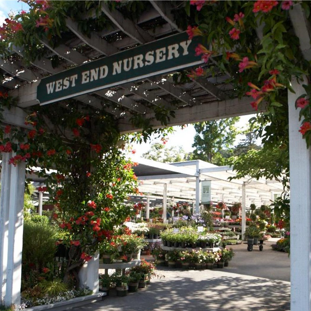 West End Nursery 3