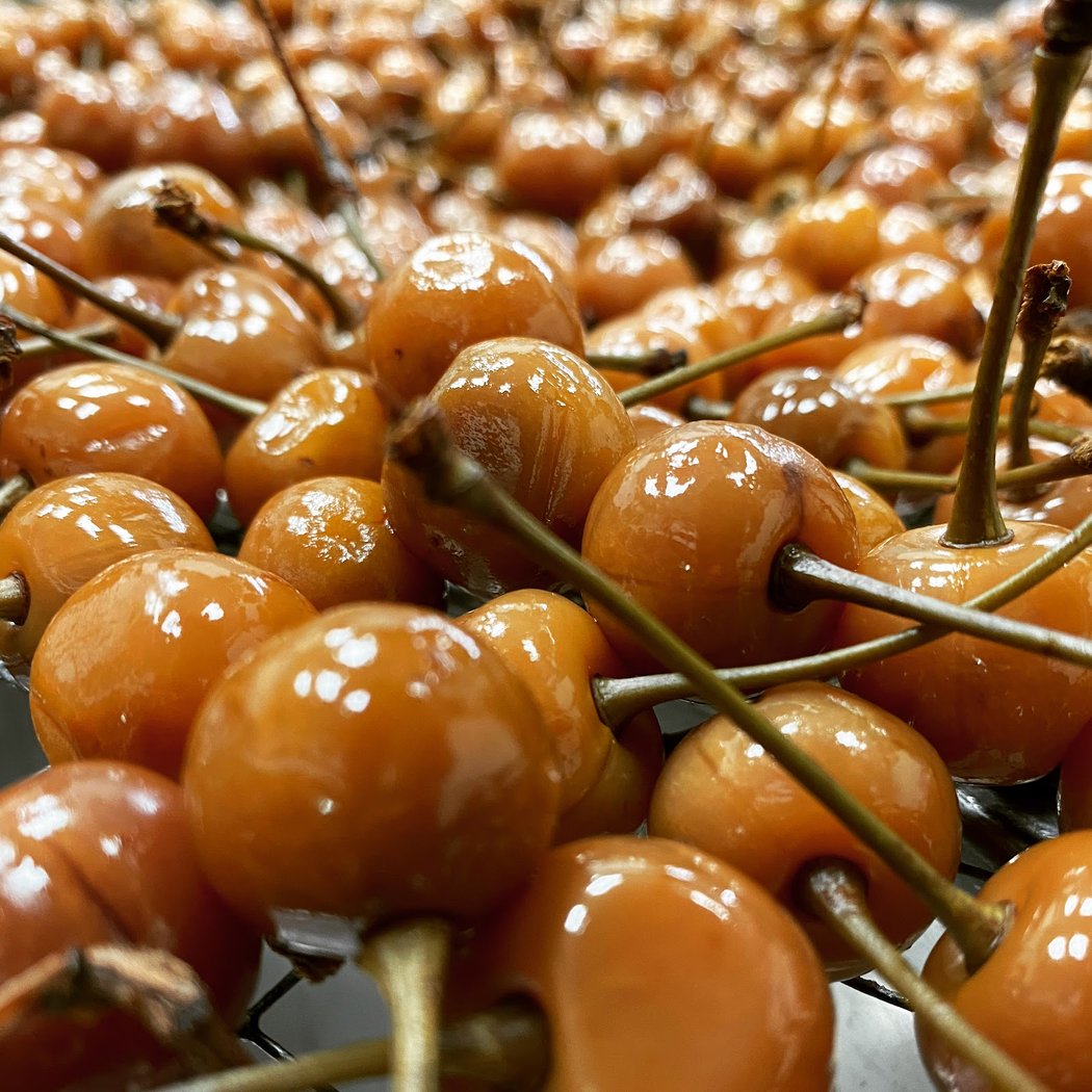 Chocolaterie Murez 3