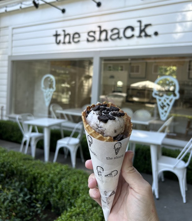 the shack ice cream 5