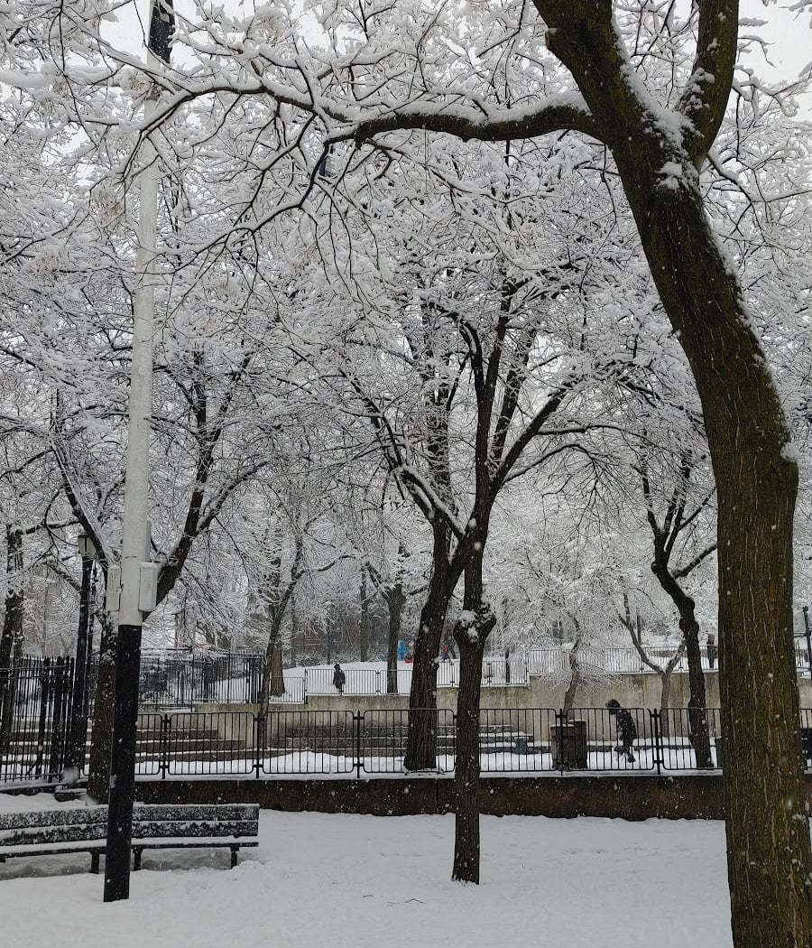 Arthur J. Katzman Playground 3
