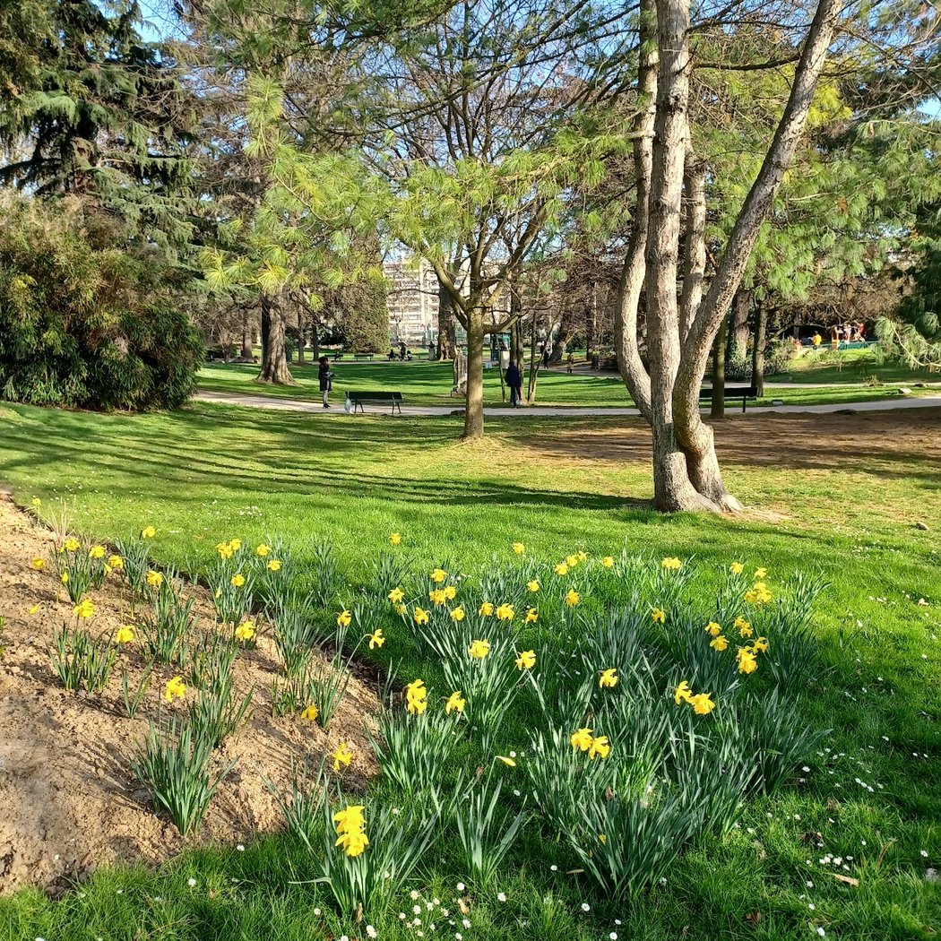 Poets Playground 3