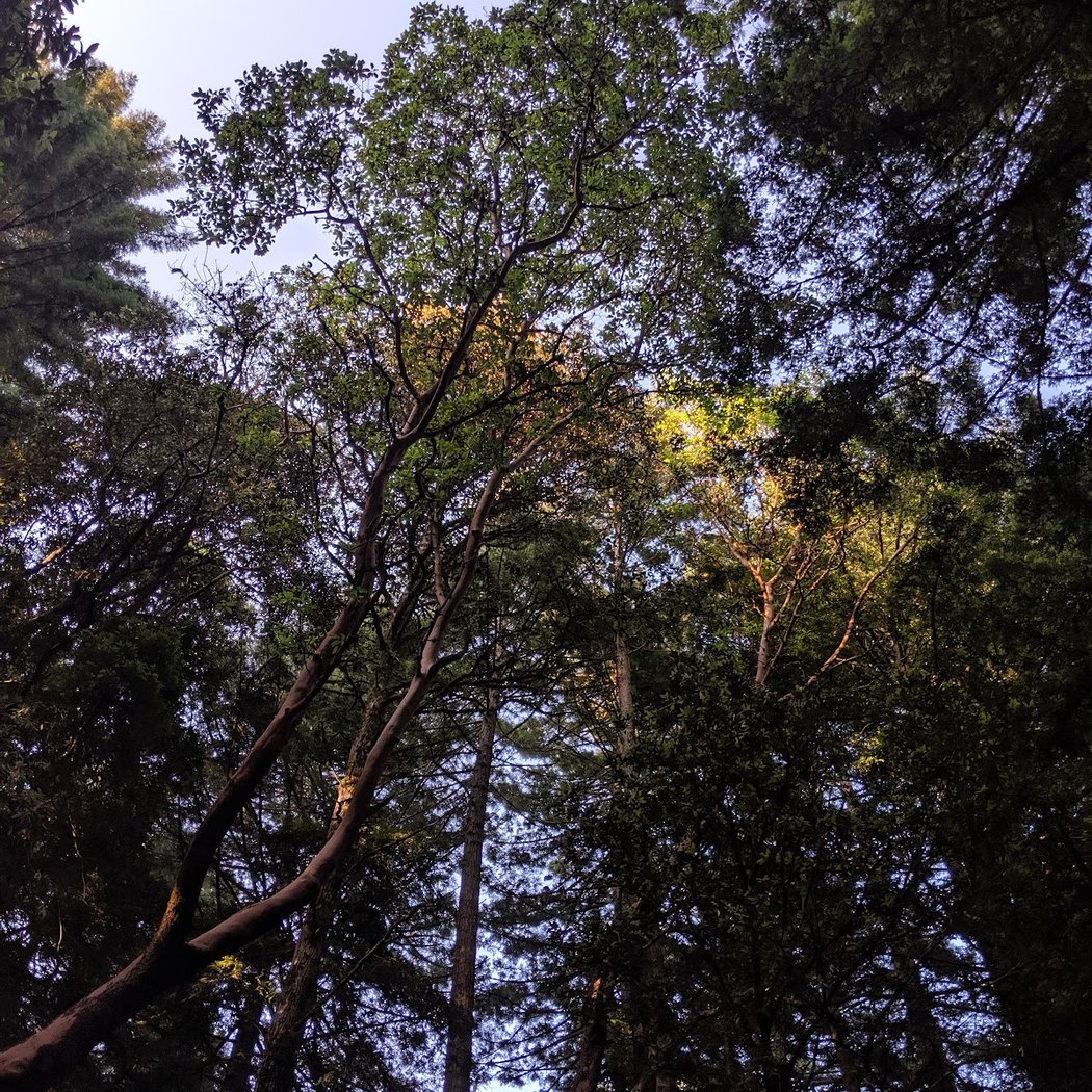 Kings Mountain 3