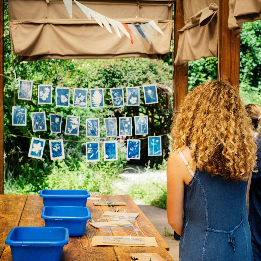Cyanotype botanique 1