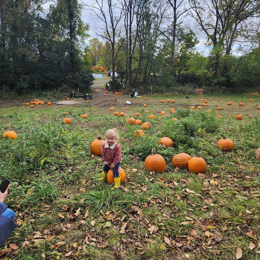 Pennings Orchard 1