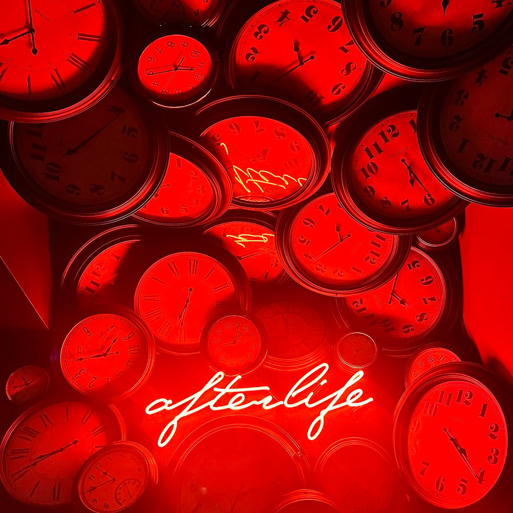 Shabazz Palaces 5