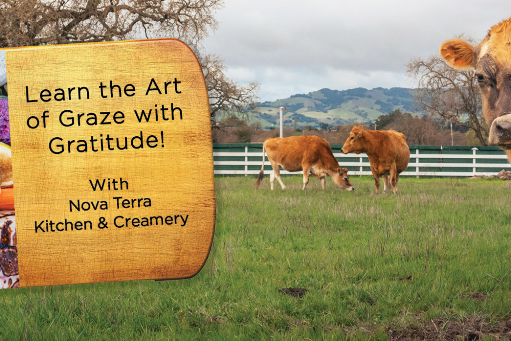 Grazing Board Workshop 1