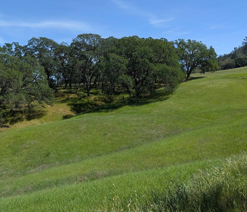 Diablo Trail Run 3