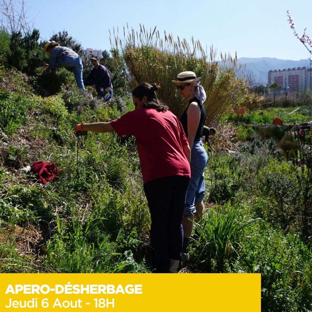 Apéro désherbage 1