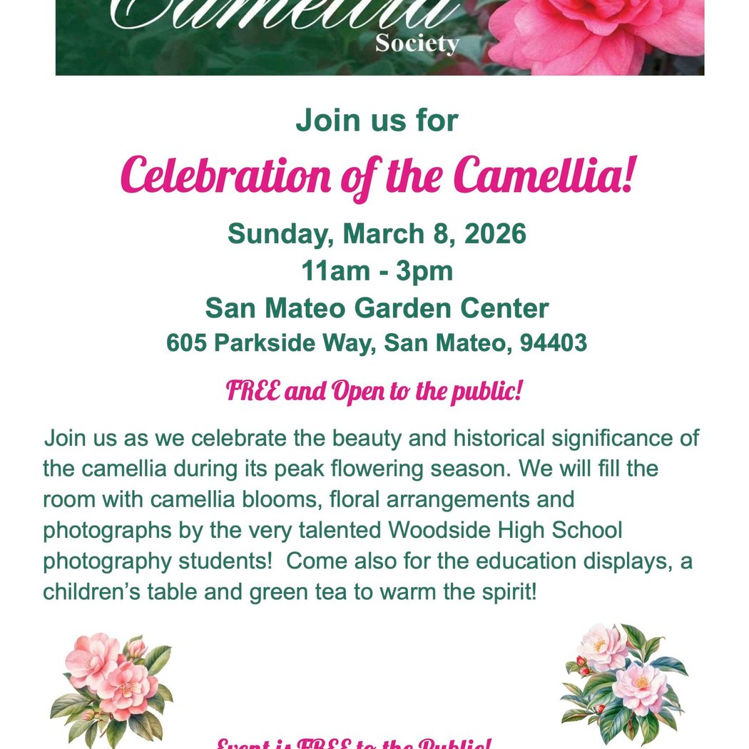 Celebration of the Camellia 1