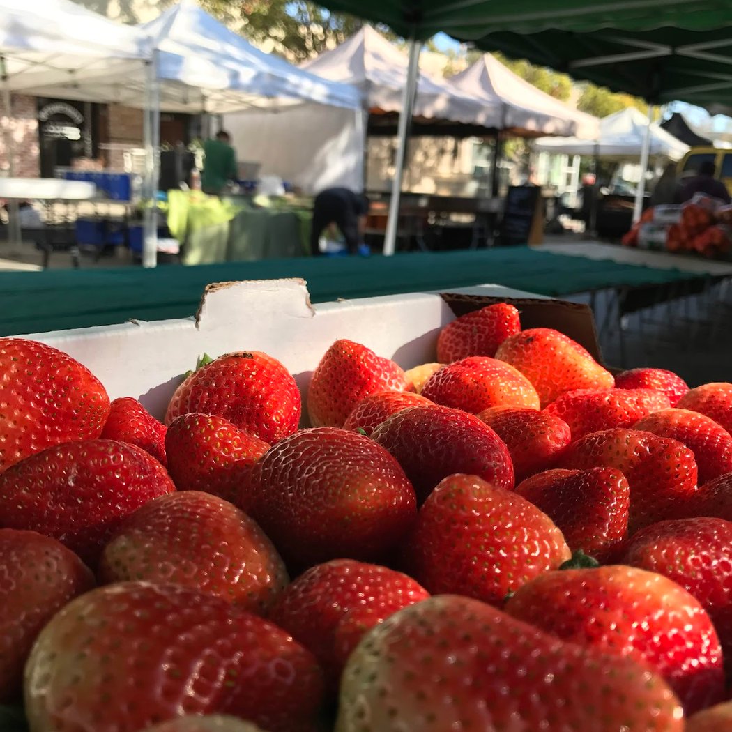 Culver City Farmers Market 1