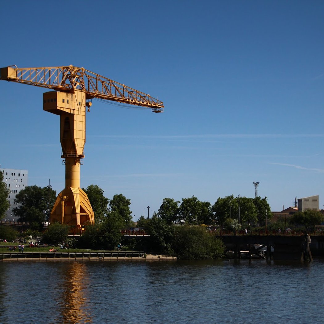 Grue Titan Jaune 3