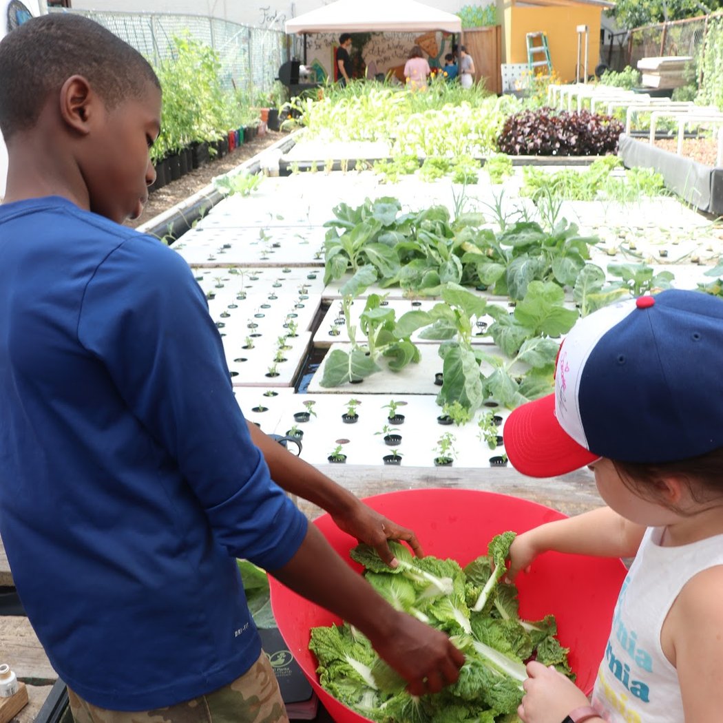 Oko Farms 3