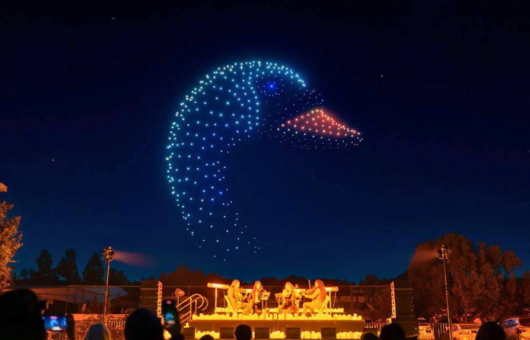 DroneArt Show 1