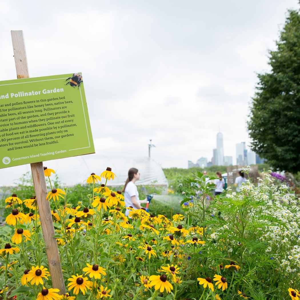 Governors Island Teaching Garden 3