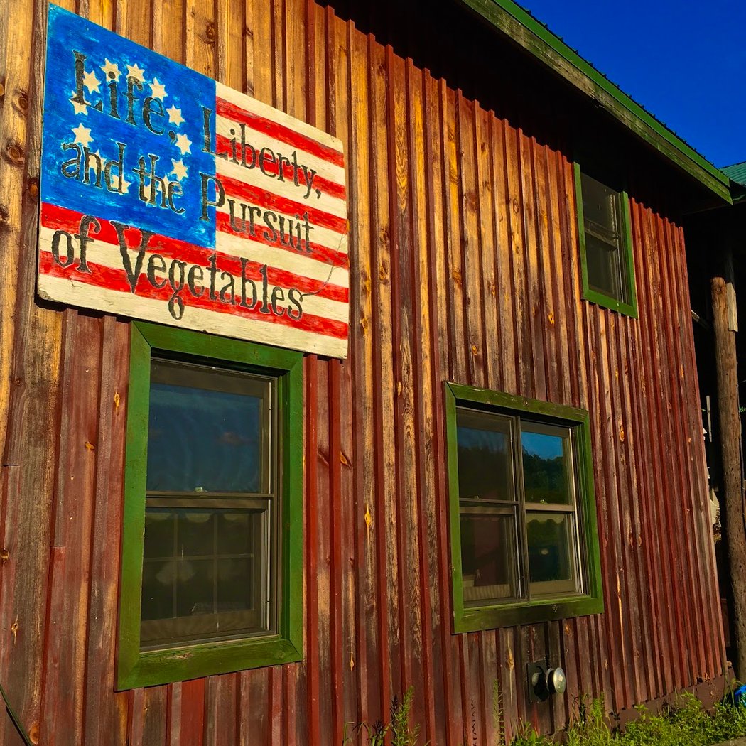 Pine Hill Farm 3