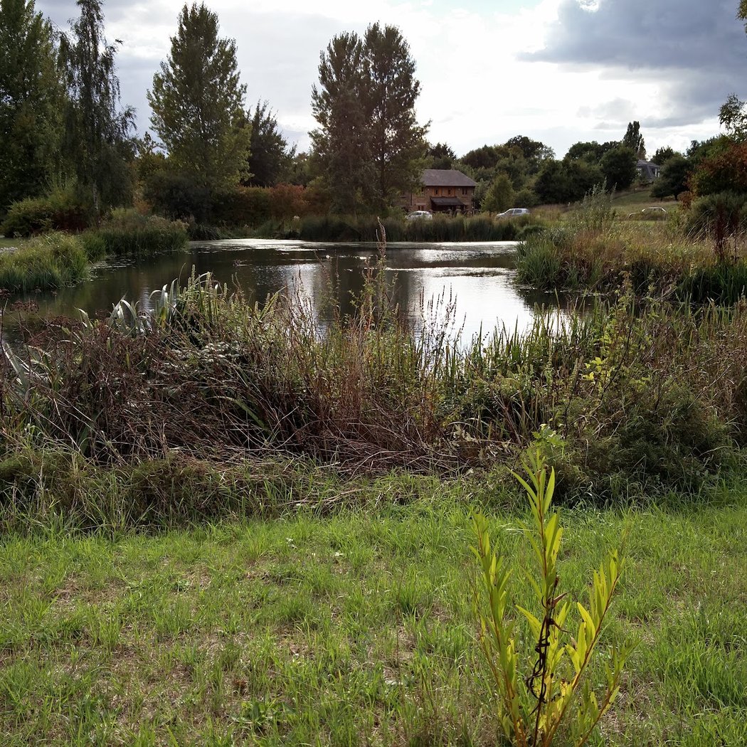 The Wetlands Centre 2