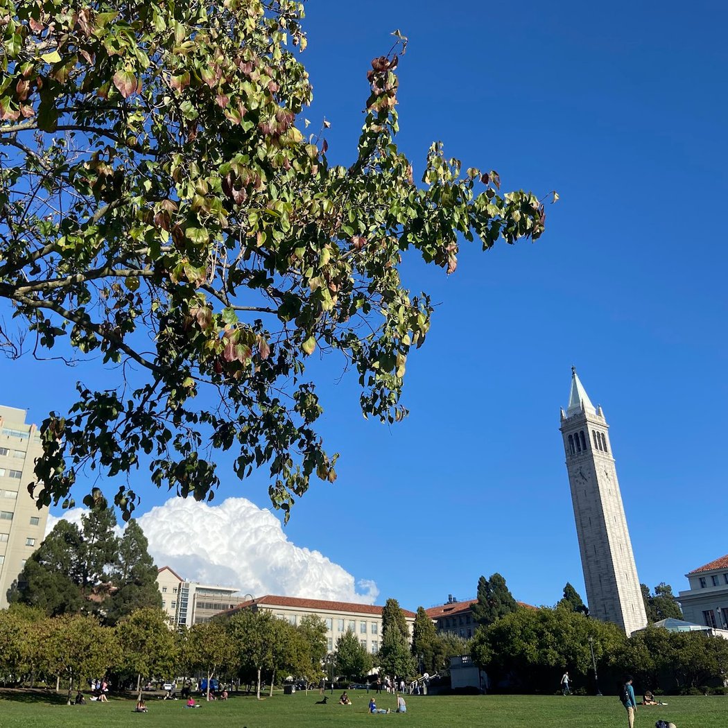 Memorial Glade 1