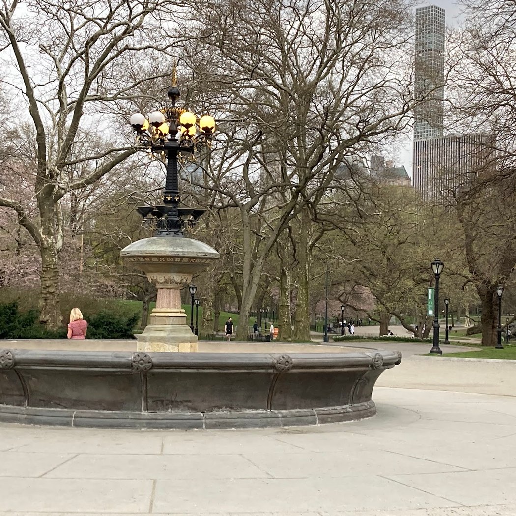 City Nature Challenge Bio Blitz 3