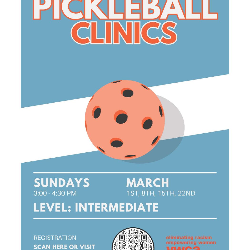 Pickleball Clinics 1