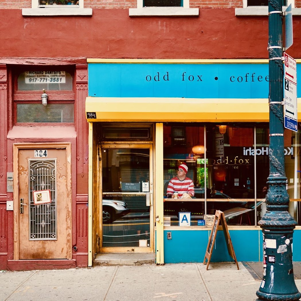 Odd Fox Coffee 2