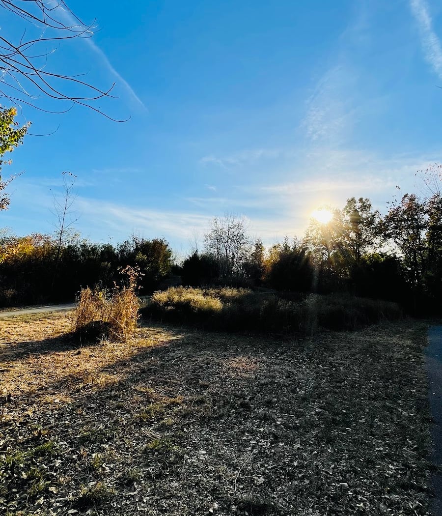 Canarsie Park Hiking Path 3