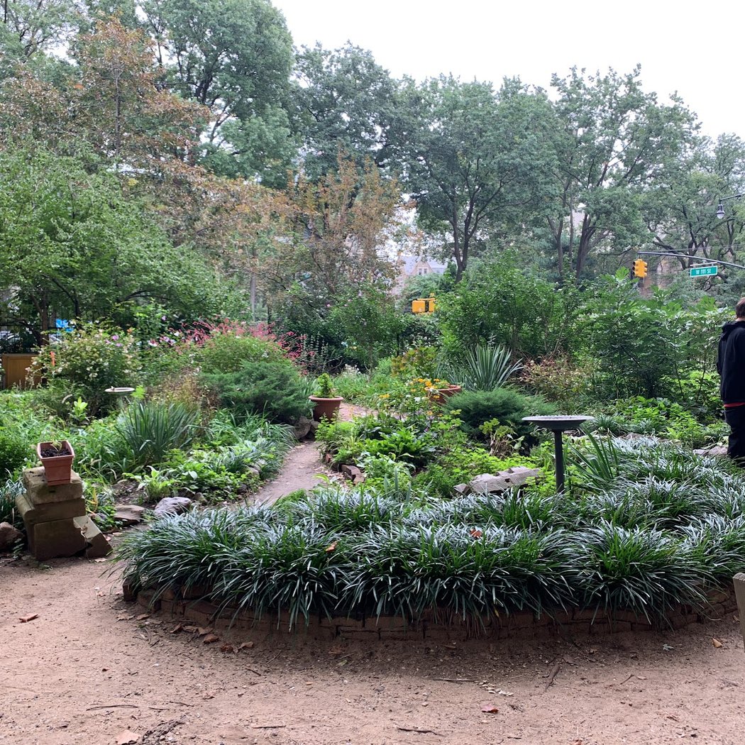 Amsterdam Garden 3