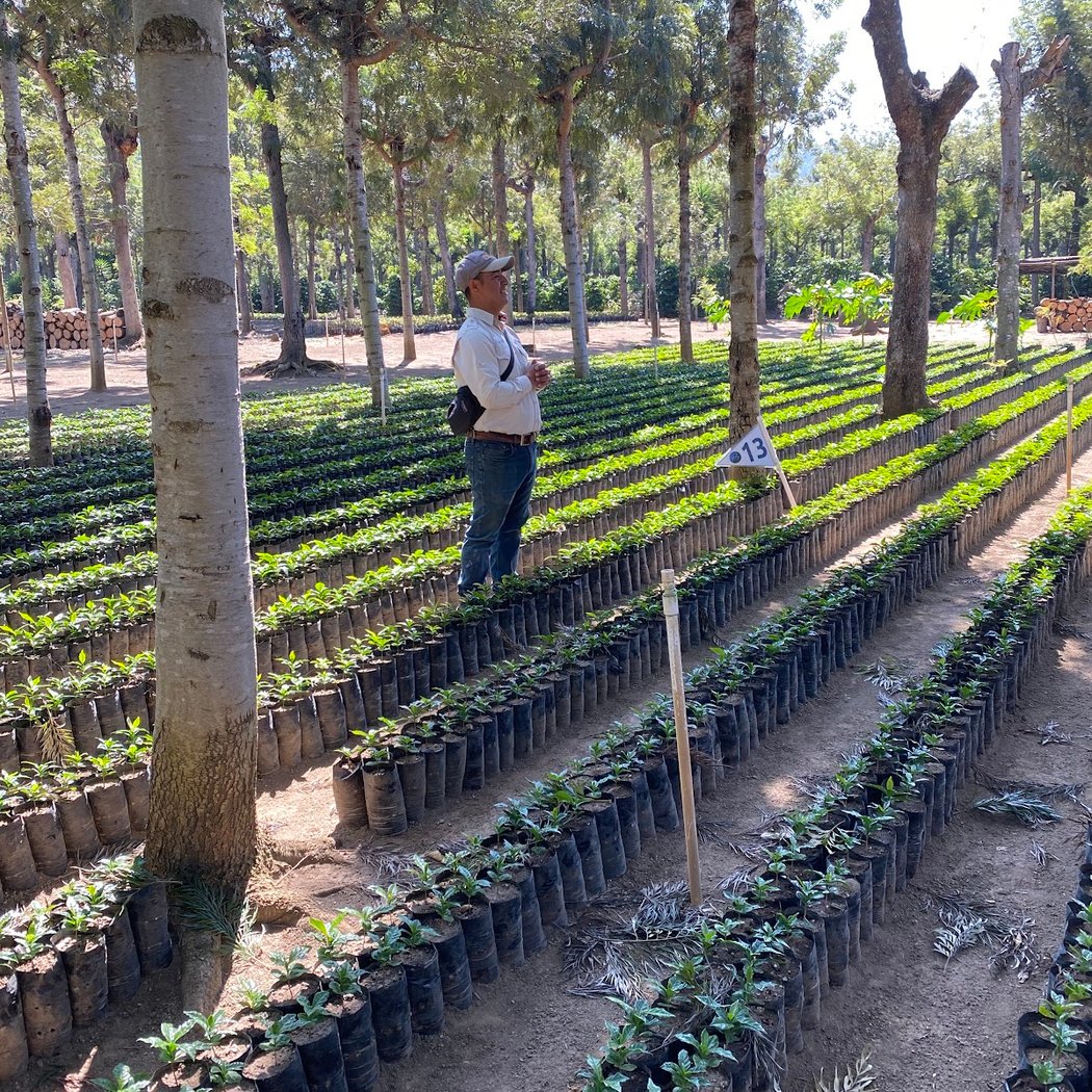 Finca Filadelfia 2