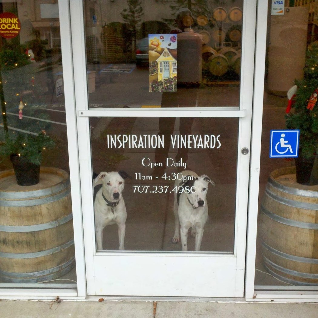 Open House Tasting 2