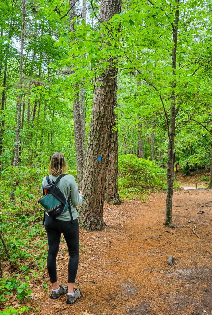 Outdoor Women Hiking Group