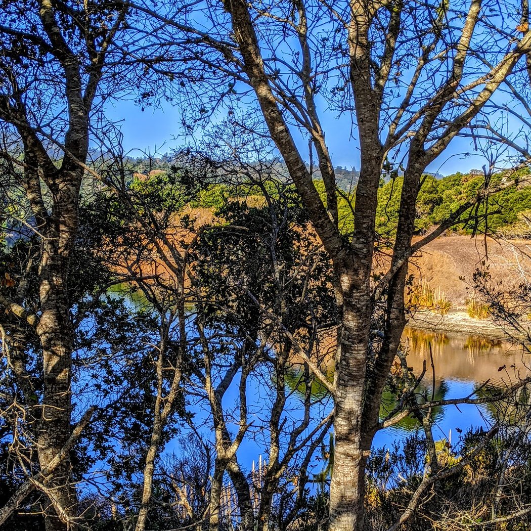 Crystal Springs Trail 3