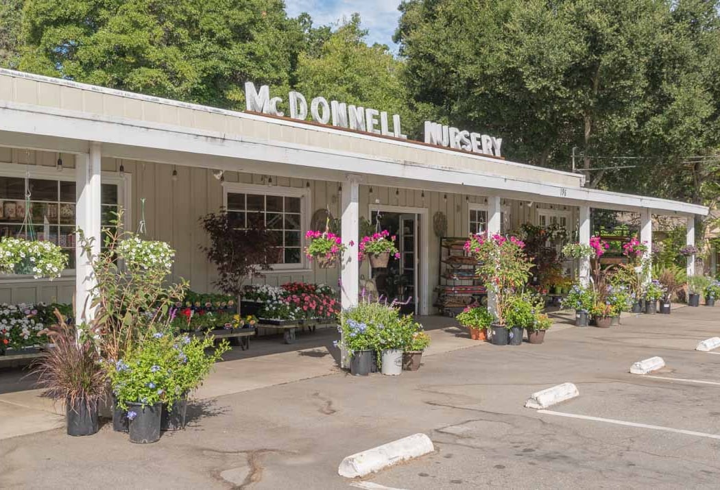 McDonnell Nursery 2