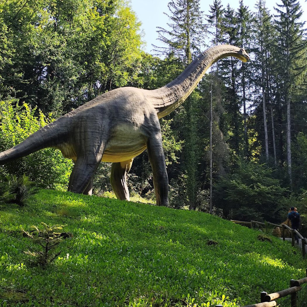 Parc Dino-zoo 2