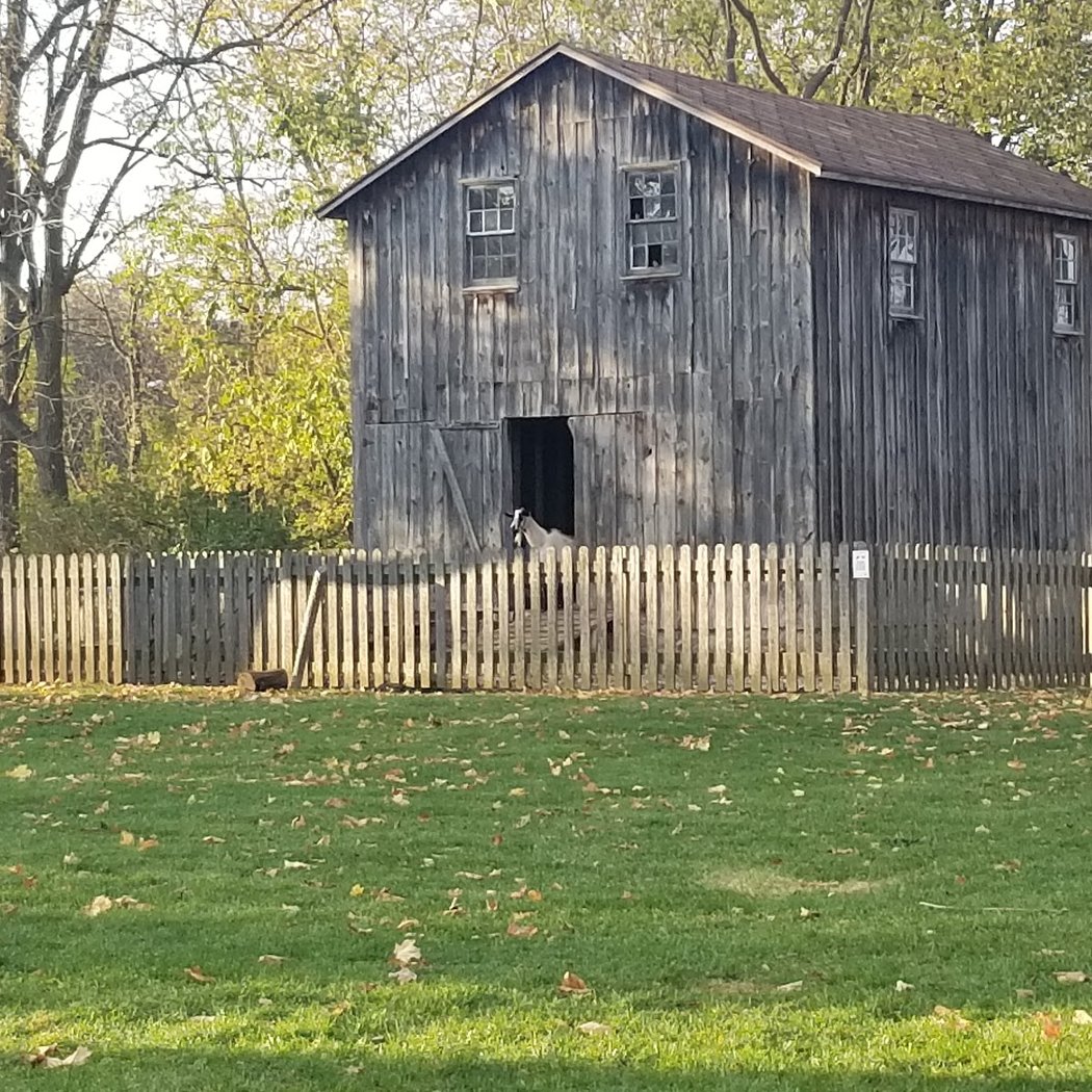 Homegrown at the Cobblestone Farm & Country Christmas 3