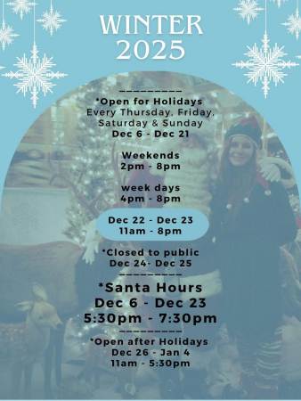 Winter Wonderland 2025 1