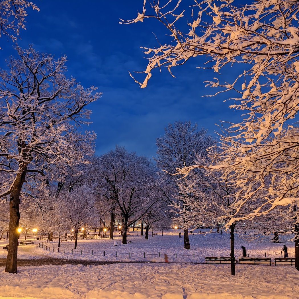 St. James Park 1
