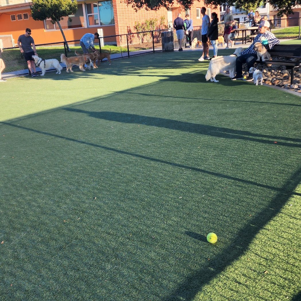 Dog Park | Moscone Park 2