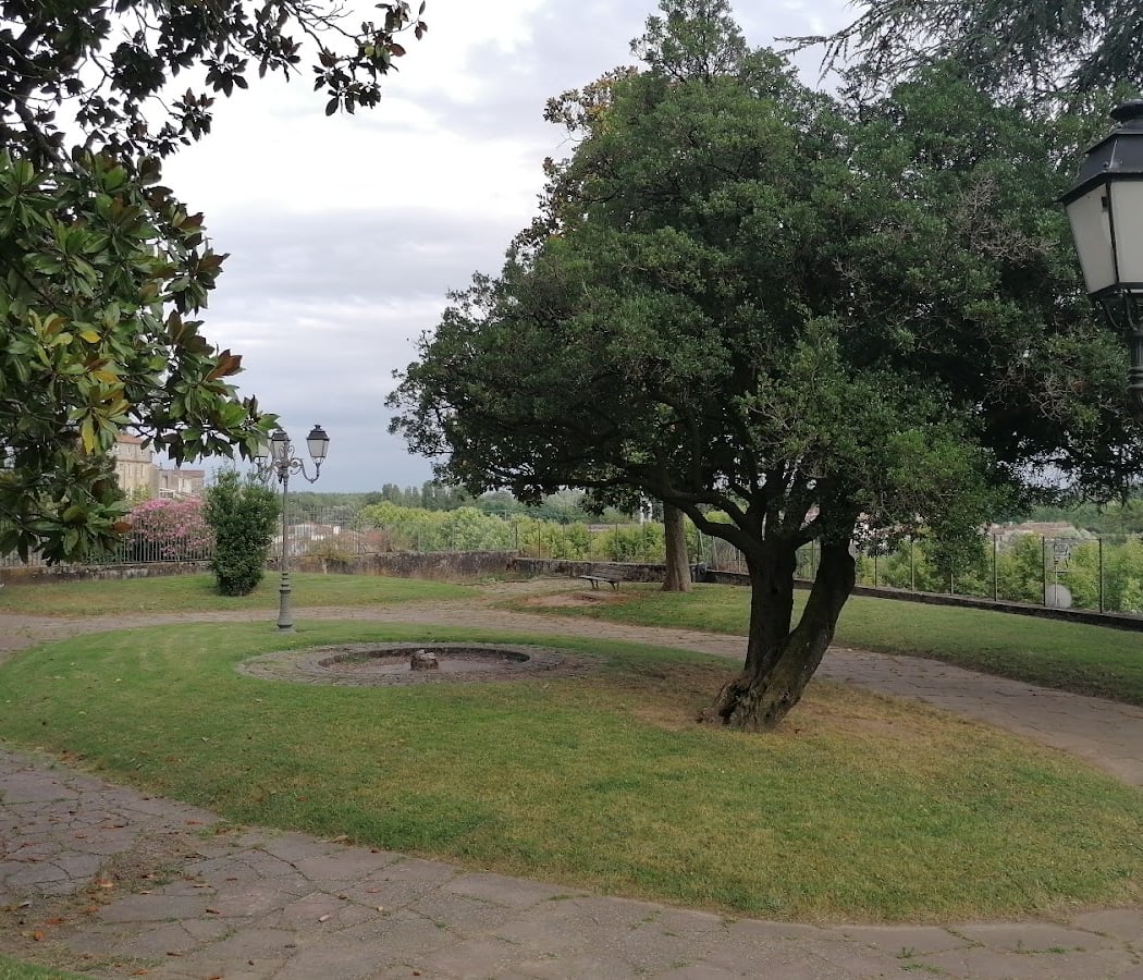 Public Garden 1