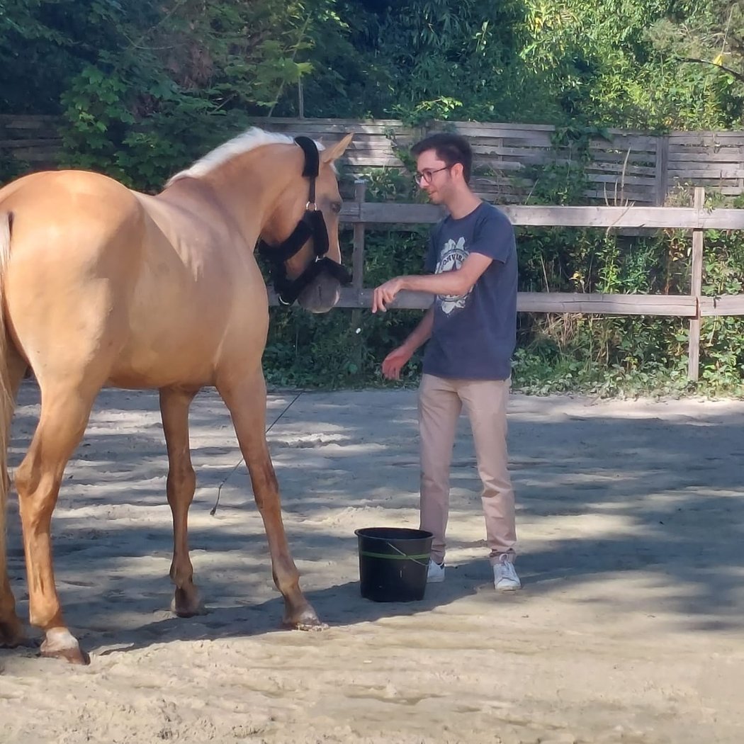 Action Equicoaching 3