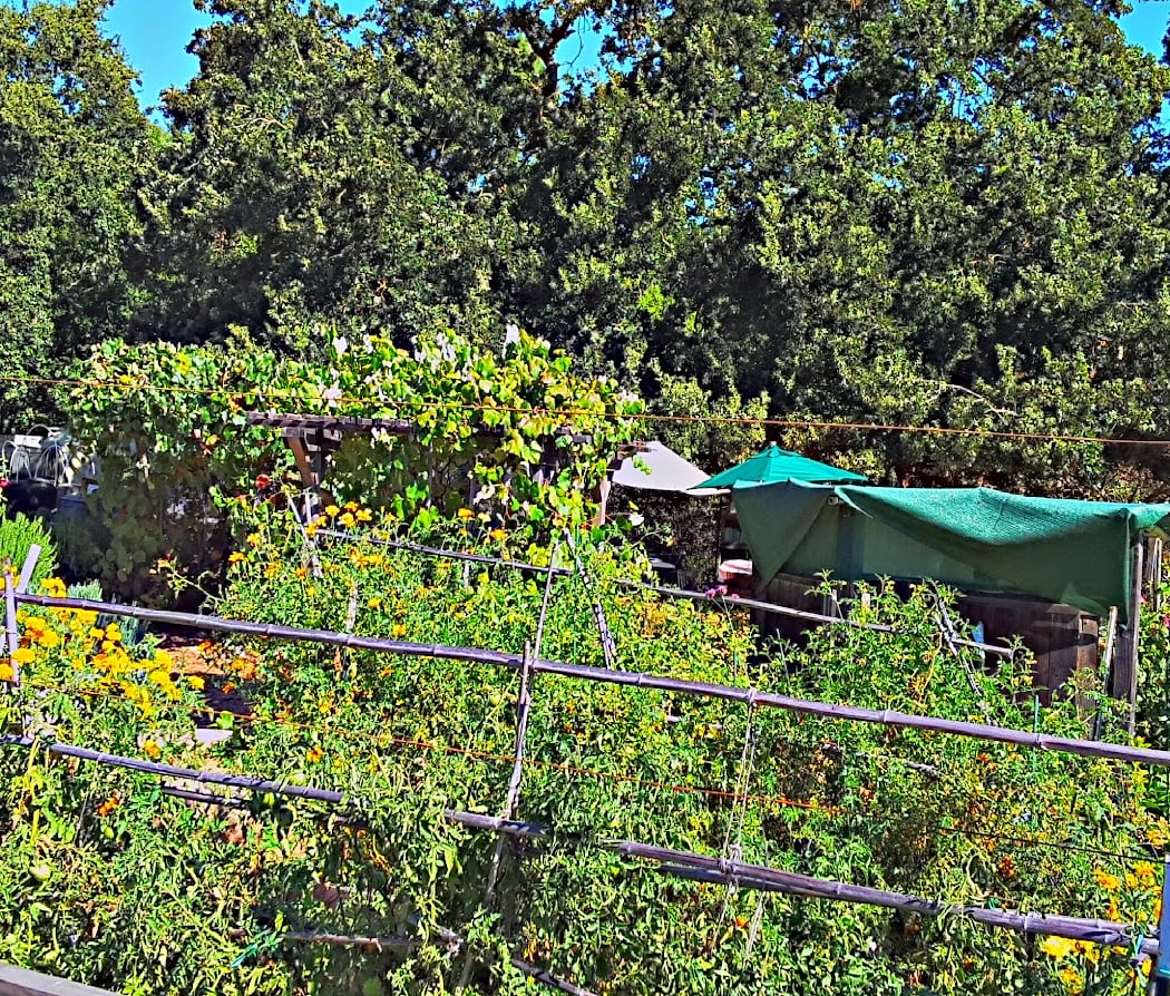 Lafayette Community Garden and Outdoor Learning Center 3