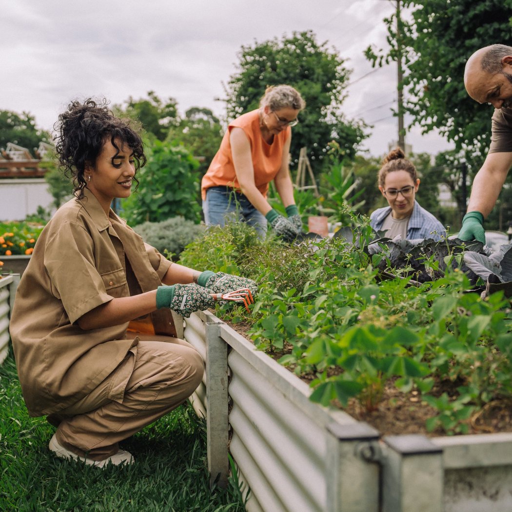 2nd Saturday Nome Park Community Garden Work Day 1